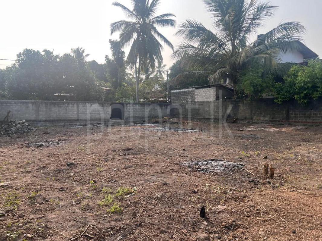 Commercial Land for Sale in Waskaduwa