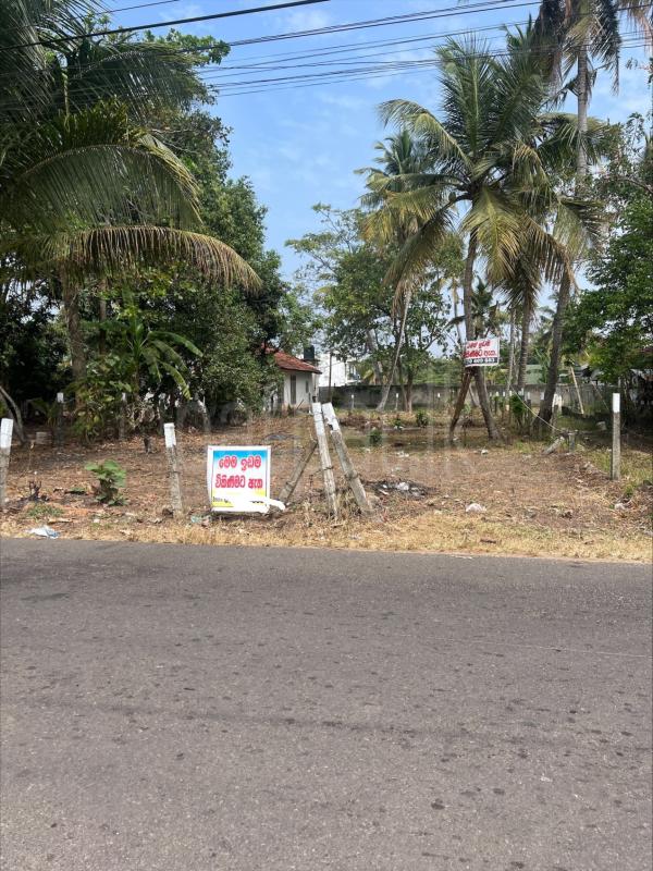 Residential Land for Sale in Negombo