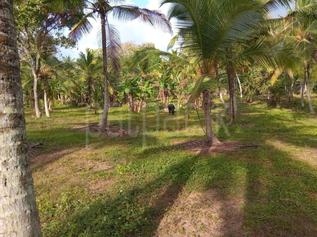 Seasonal Room for Sale in Badalgama