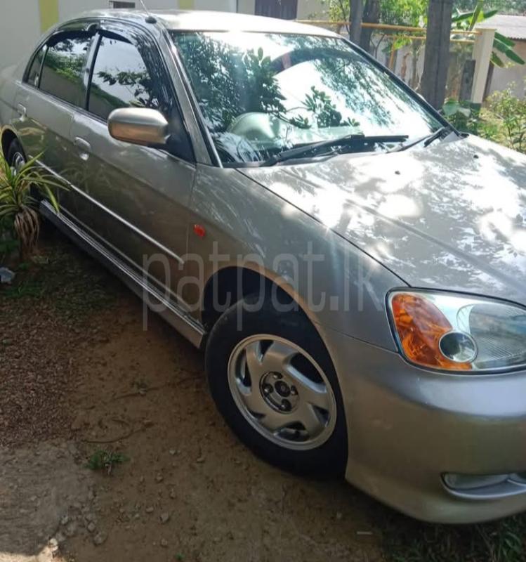 Advertisement image 3