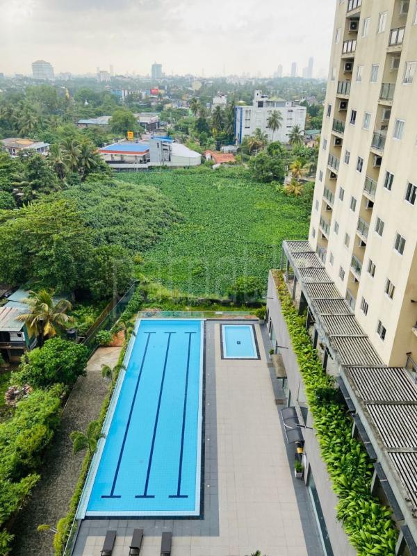 Furnished Apartment for Rent in Battaramulla