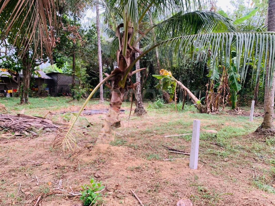 Agricultural Land for Sale in Kadawatha