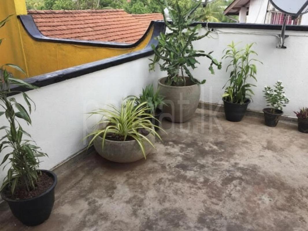 Furnished Apartment for Rent in Narahenpita (Colombo 05)