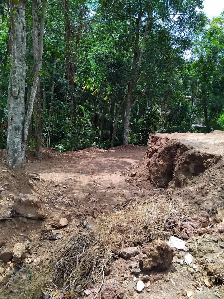 Agricultural Land for Sale in Gurudeniya ads-image-1