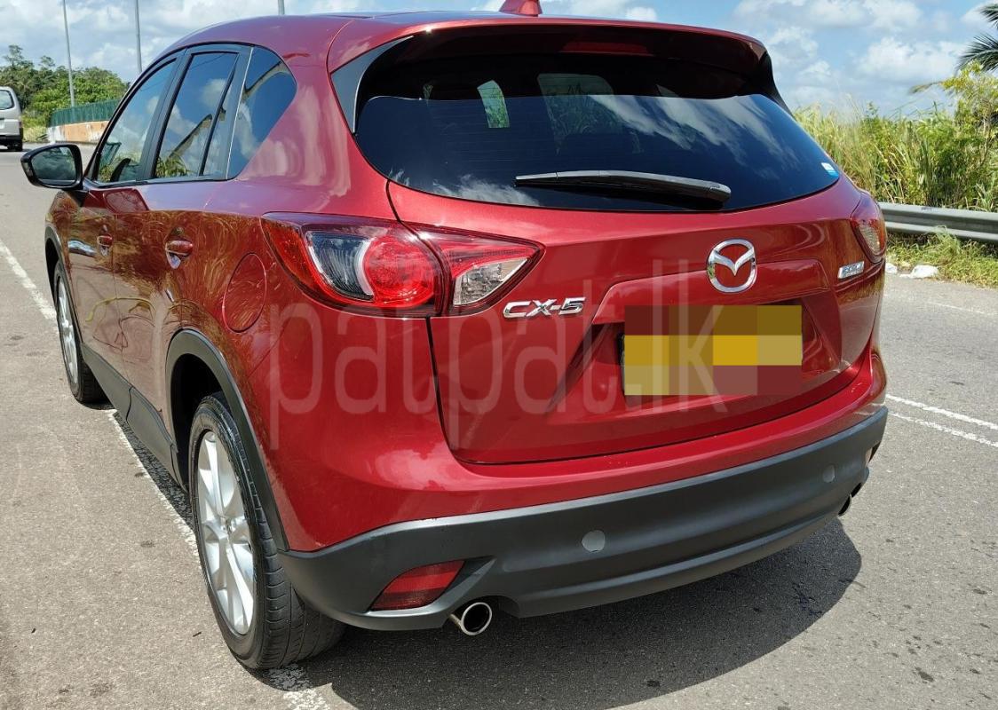 Advertisement image 3