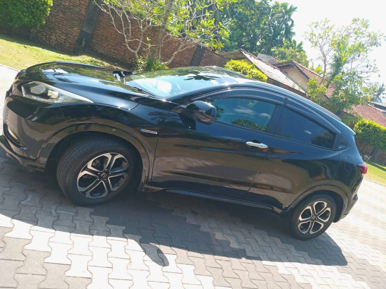 Advertisement image 2