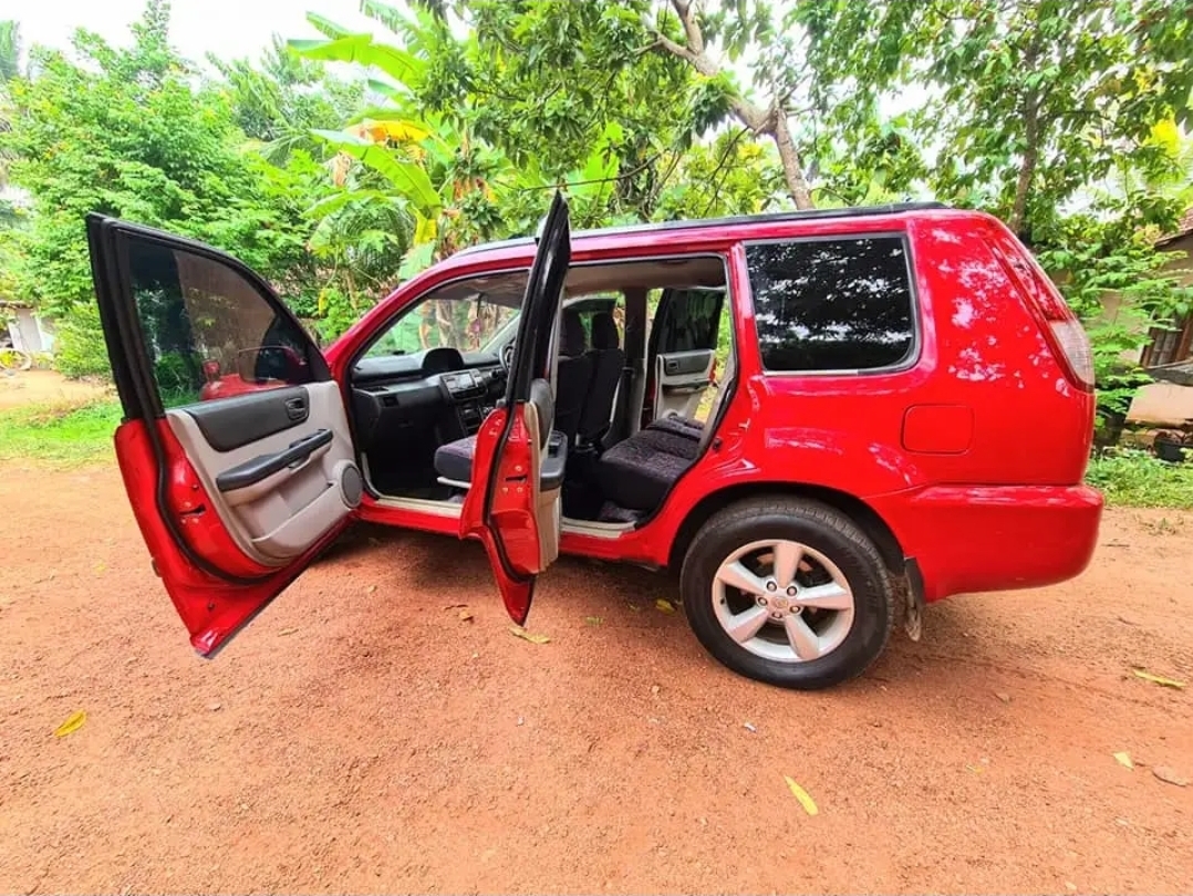 Advertisement image 4