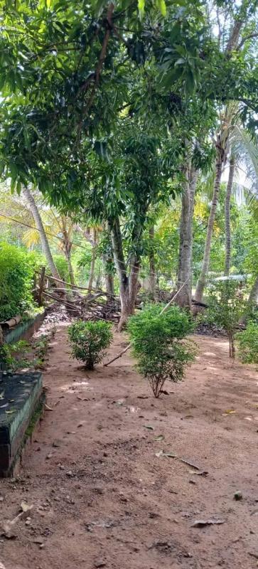 Residential Land for Sale in Kataragama ads-image-1