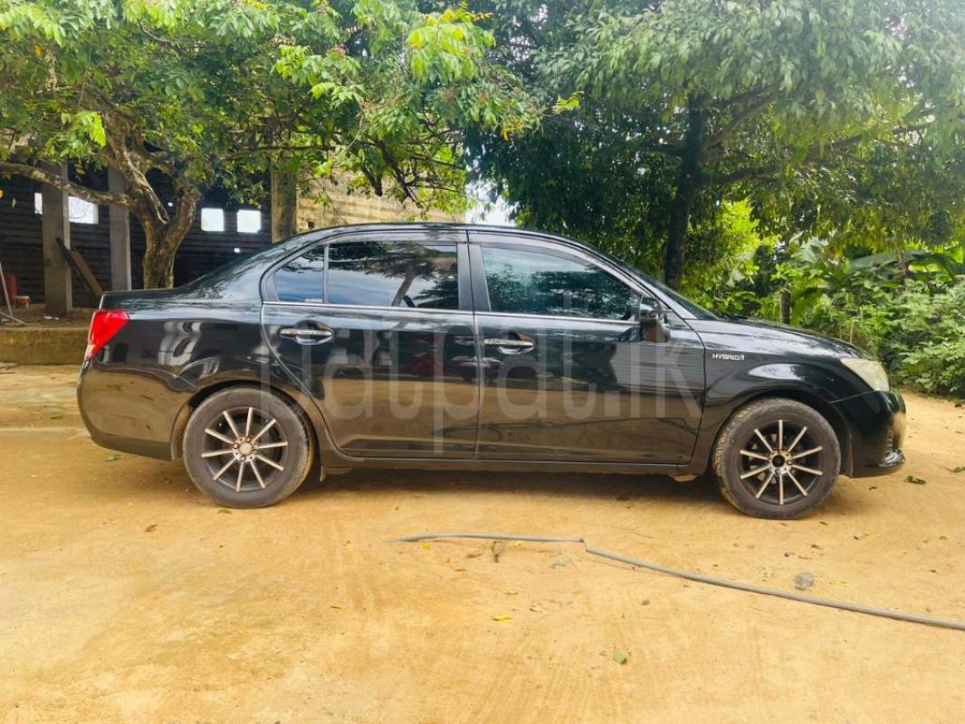 Advertisement image 3