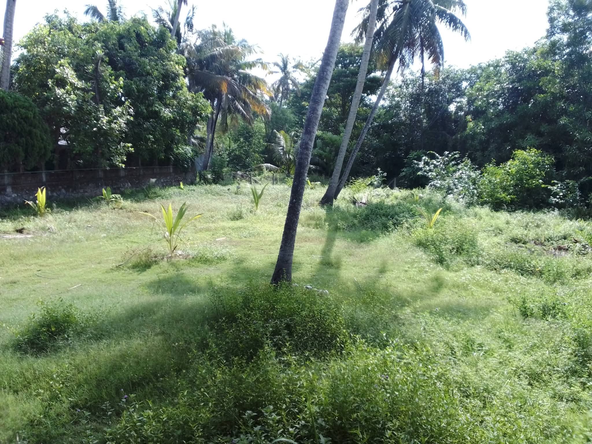 Agricultural Land for Sale in Lunuwila