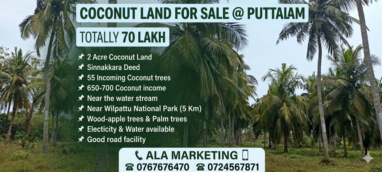 Agricultural Land for Sale in Puttalam