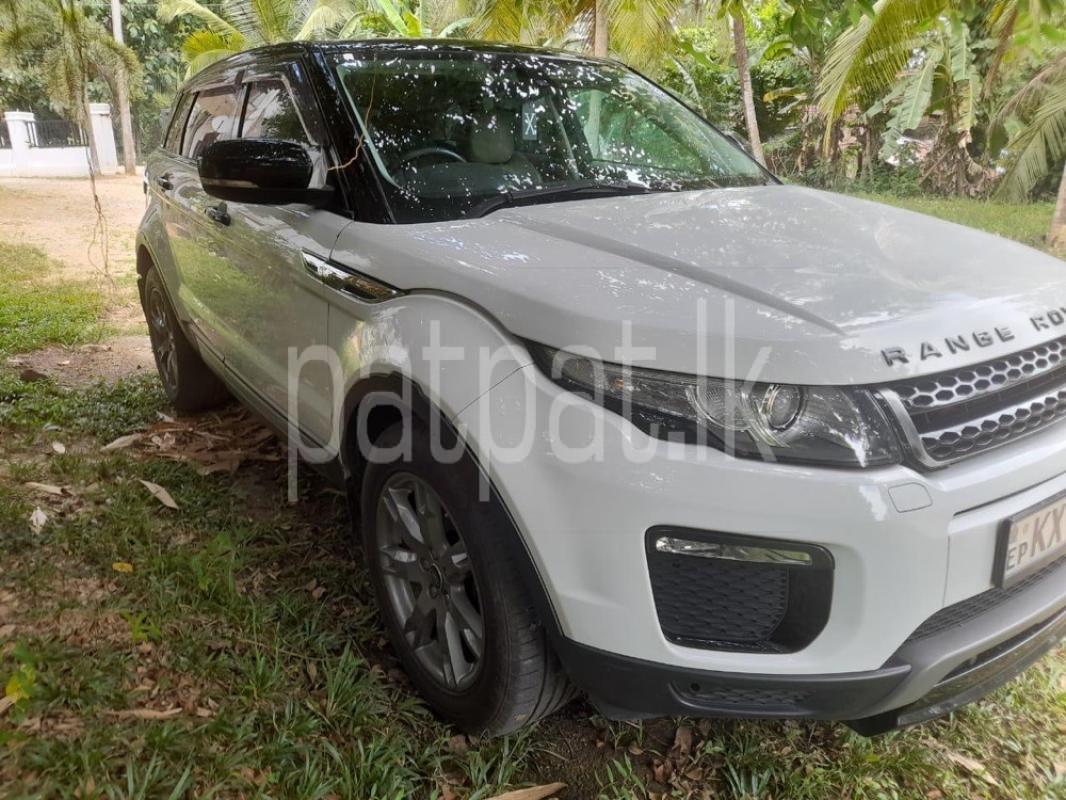 Advertisement image 4