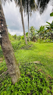 Residential Land for Sale in Welawa Juncton
