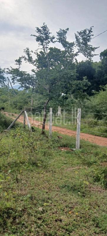 Residential Land for Sale in Kataragama