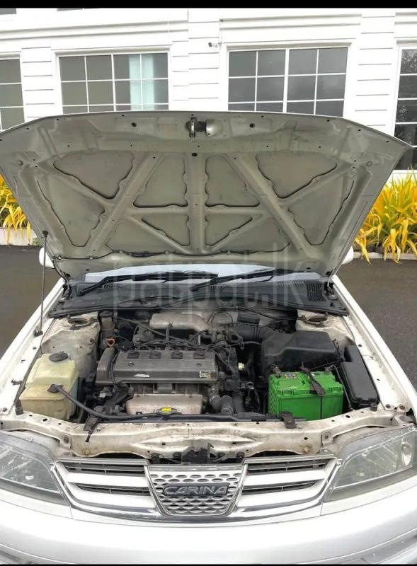 Advertisement image 6