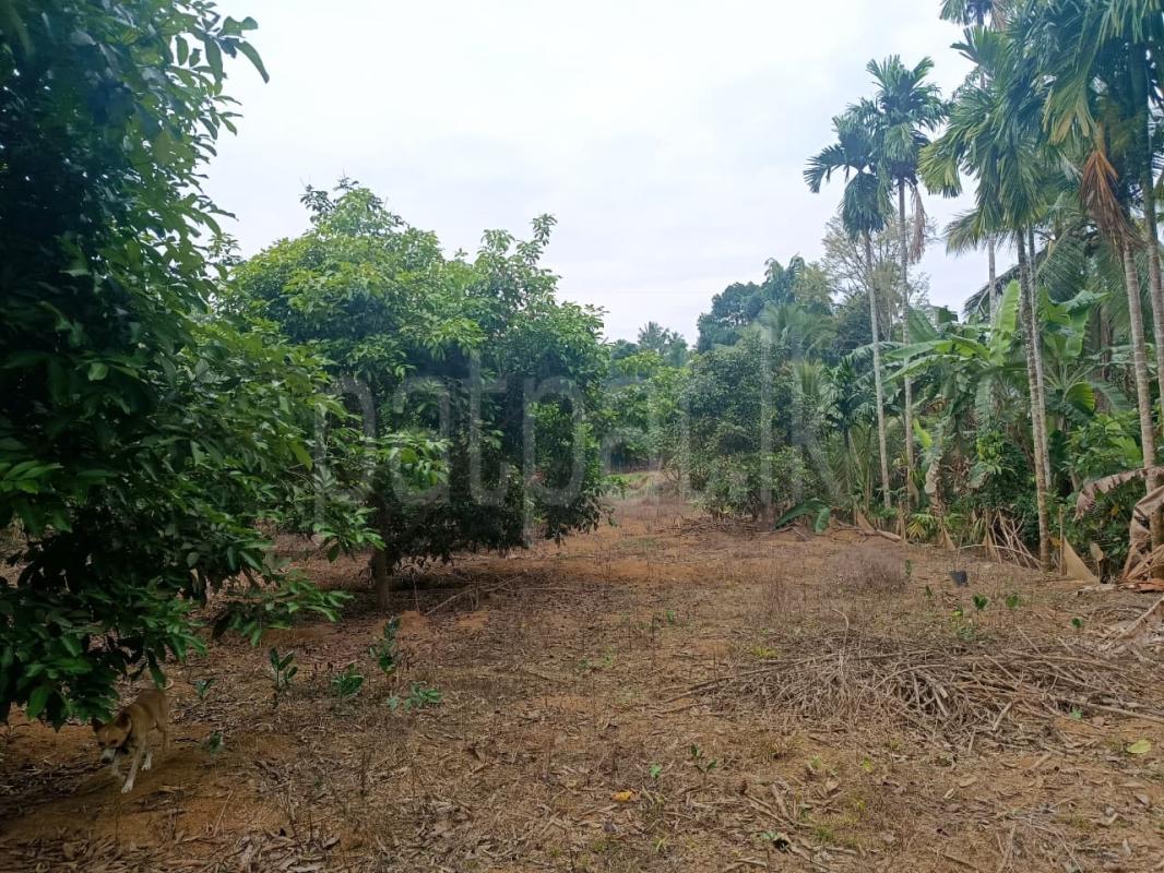 Residential Land for Sale in Kaduwela