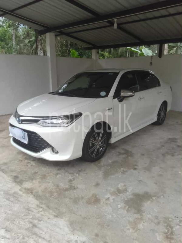 Advertisement image 1