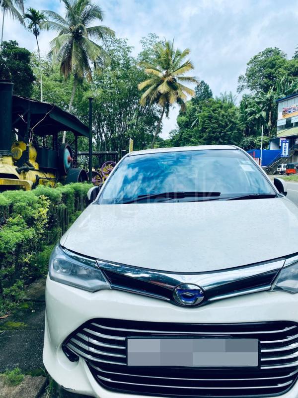 Advertisement image 5