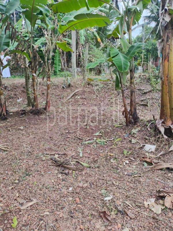Residential Land for Sale in Gampaha