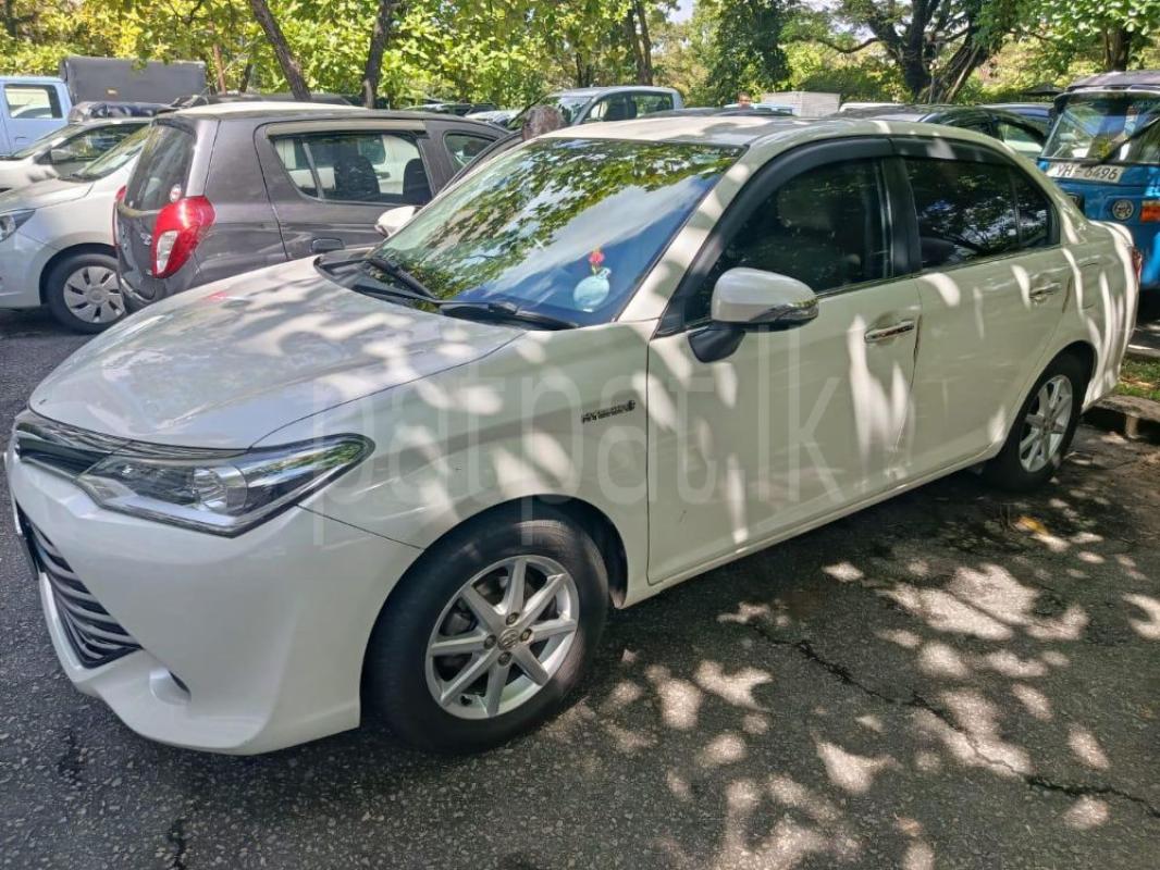 Advertisement image 2