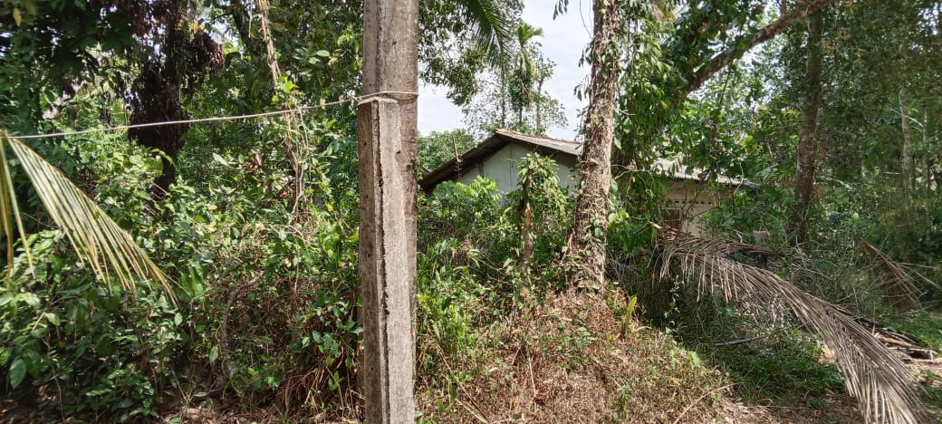 Residential Land for Sale in Gampaha