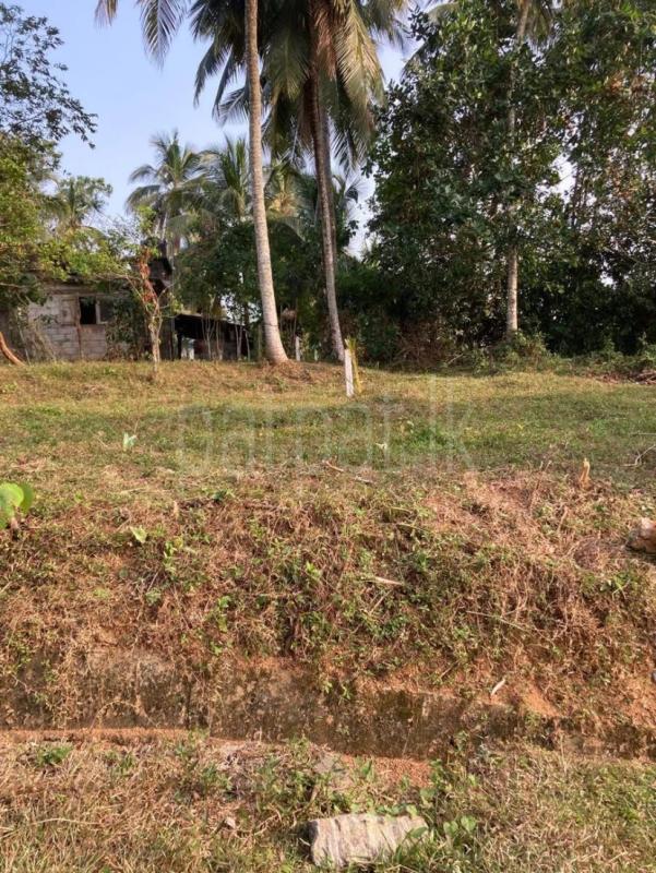 Residential Land for Sale in Kahathuduwa ads-image-1