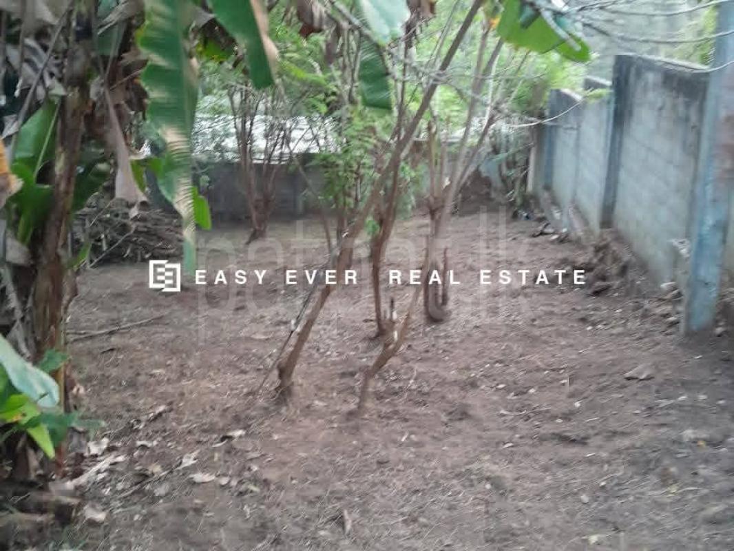 Residential Land for Sale in Pallekelle