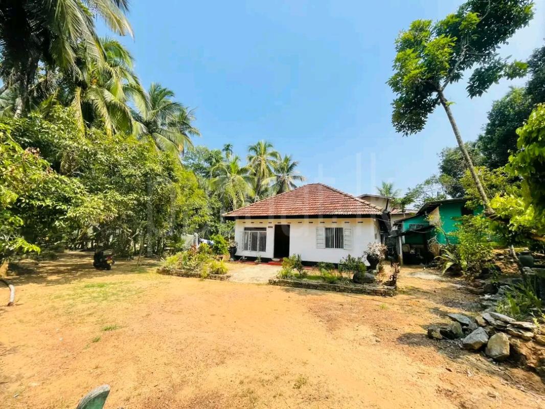 Residential Land for Sale in Avissawella ads-image-1