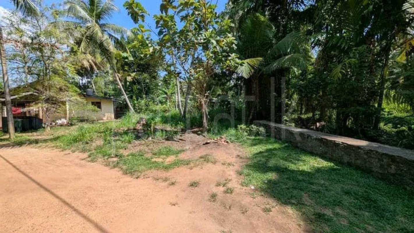 Commercial Land for Sale in Mirigama ads-image-1