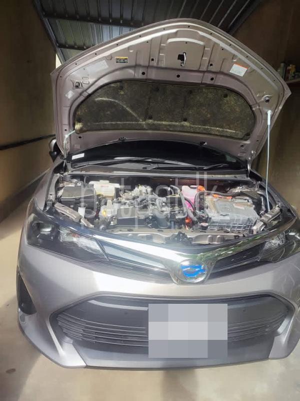 Toyota Axio 2025 - Brand New Car sale in Sri Lanka - patpat.lk