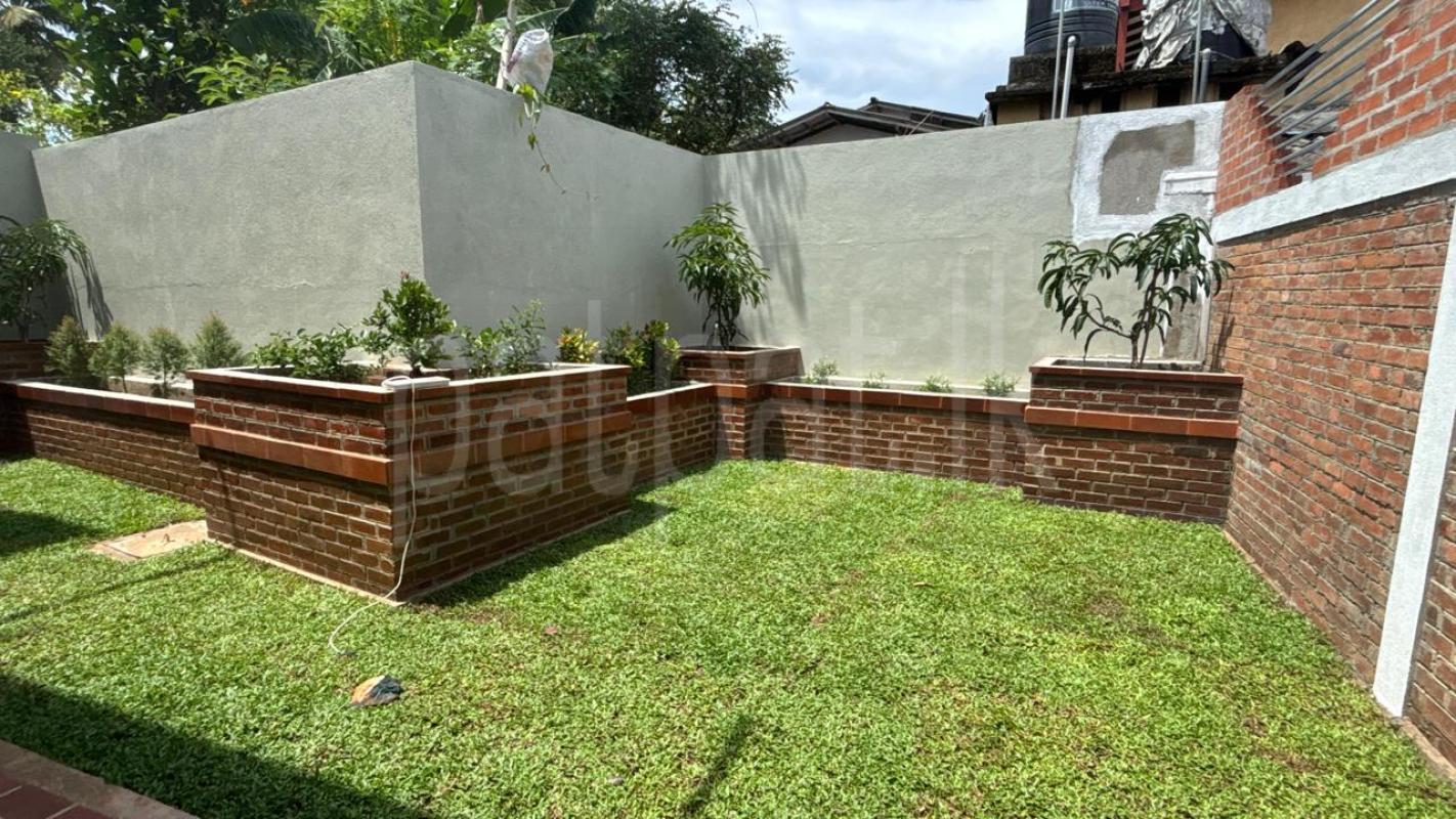 Advertisement image 16