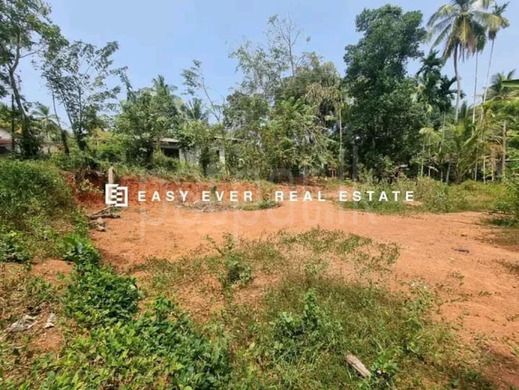 Commercial Land for Sale in Minuwangoda ads-image-1