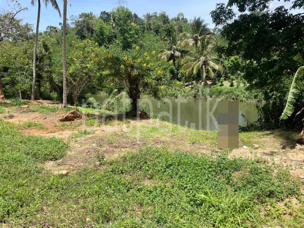 Residential Land for Sale in Balangoda