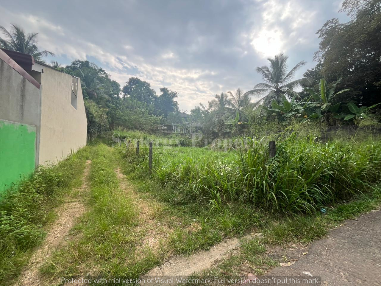 Advertisement image 2