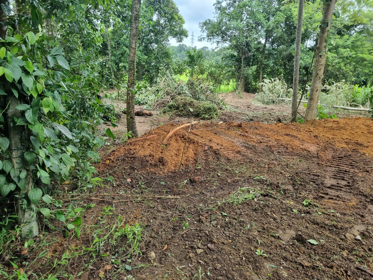 Residential Land for Sale in Kadawatha