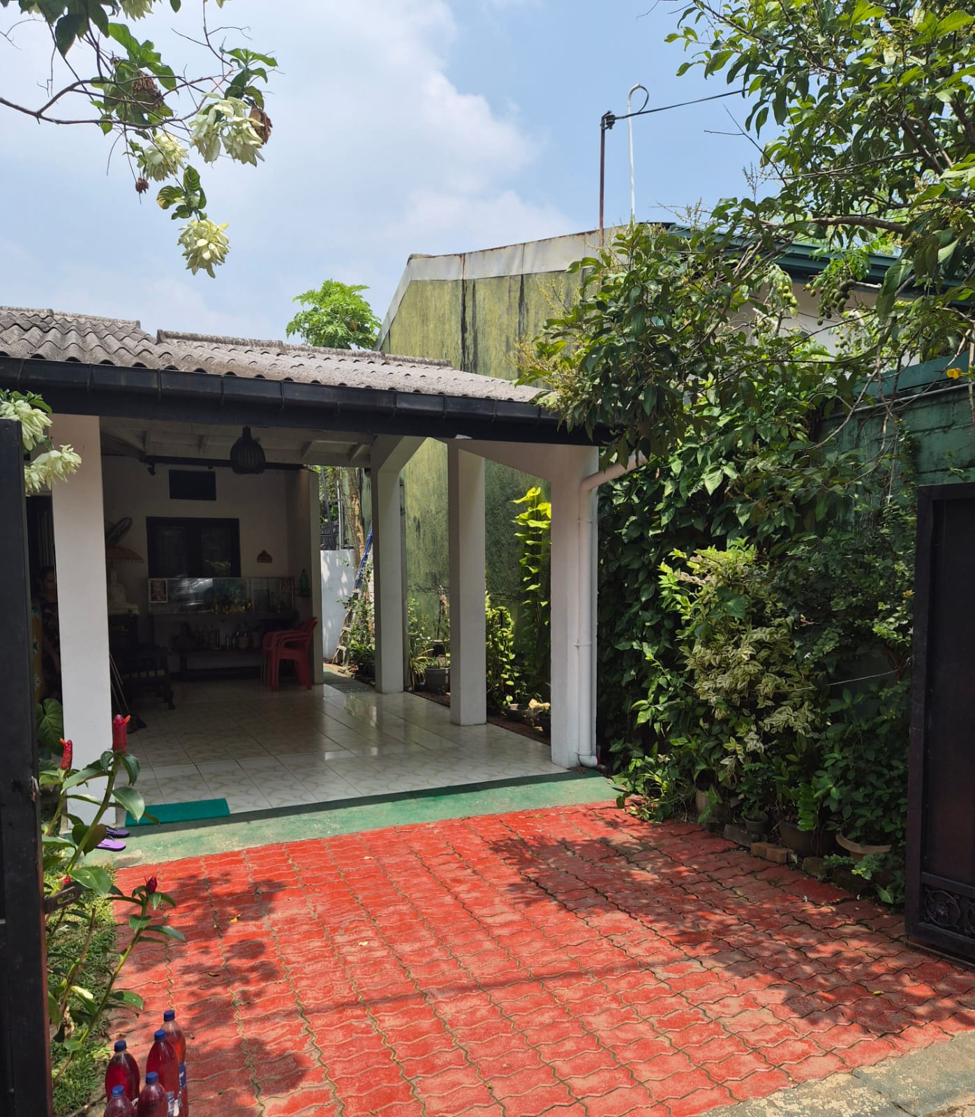 Advertisement image 1