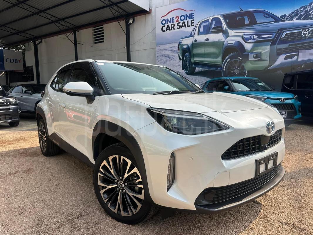 Advertisement image 2