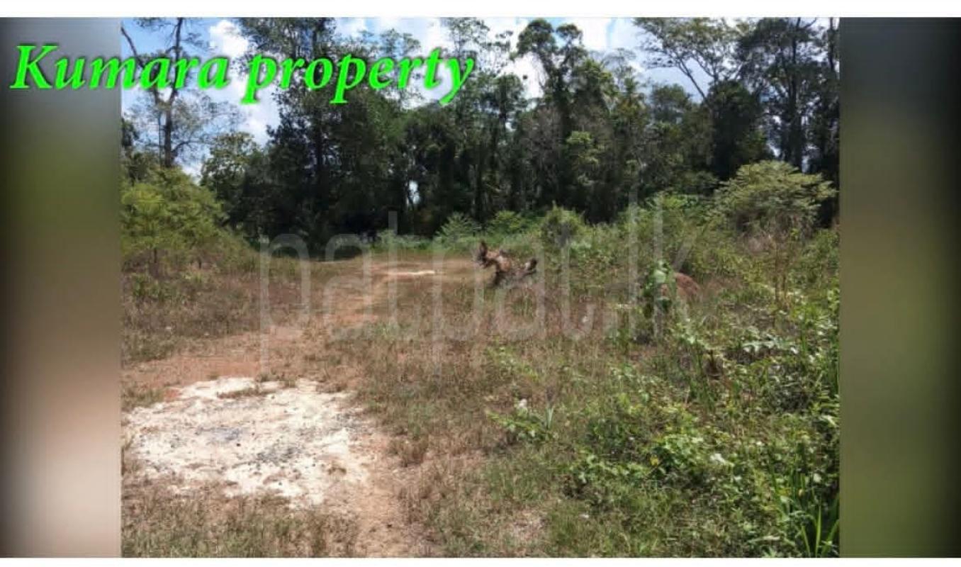 Residential Land for Sale in Panadura ads-image-1
