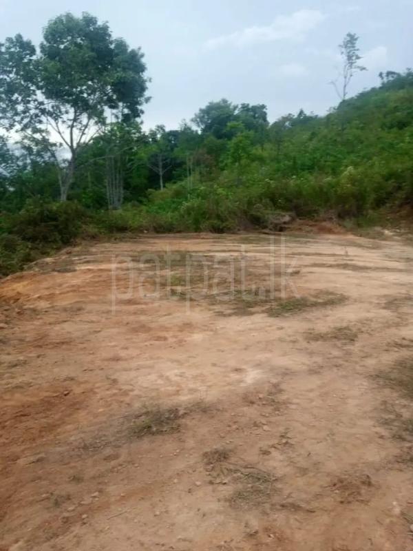 Residential Land for Sale in Badulla