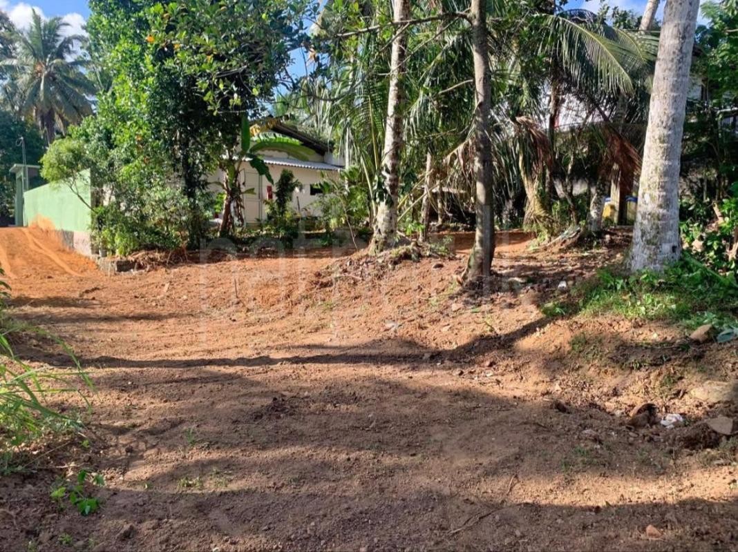 premium-listing-image