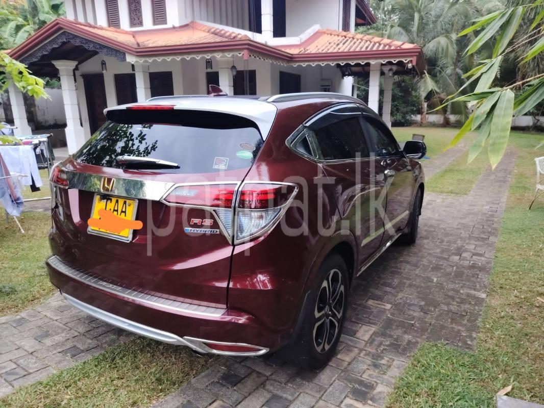 Advertisement image 1