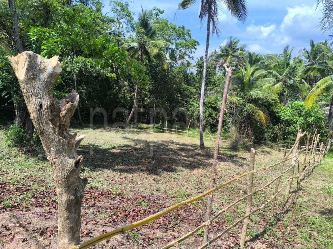 Agricultural Land for Sale in Ekala