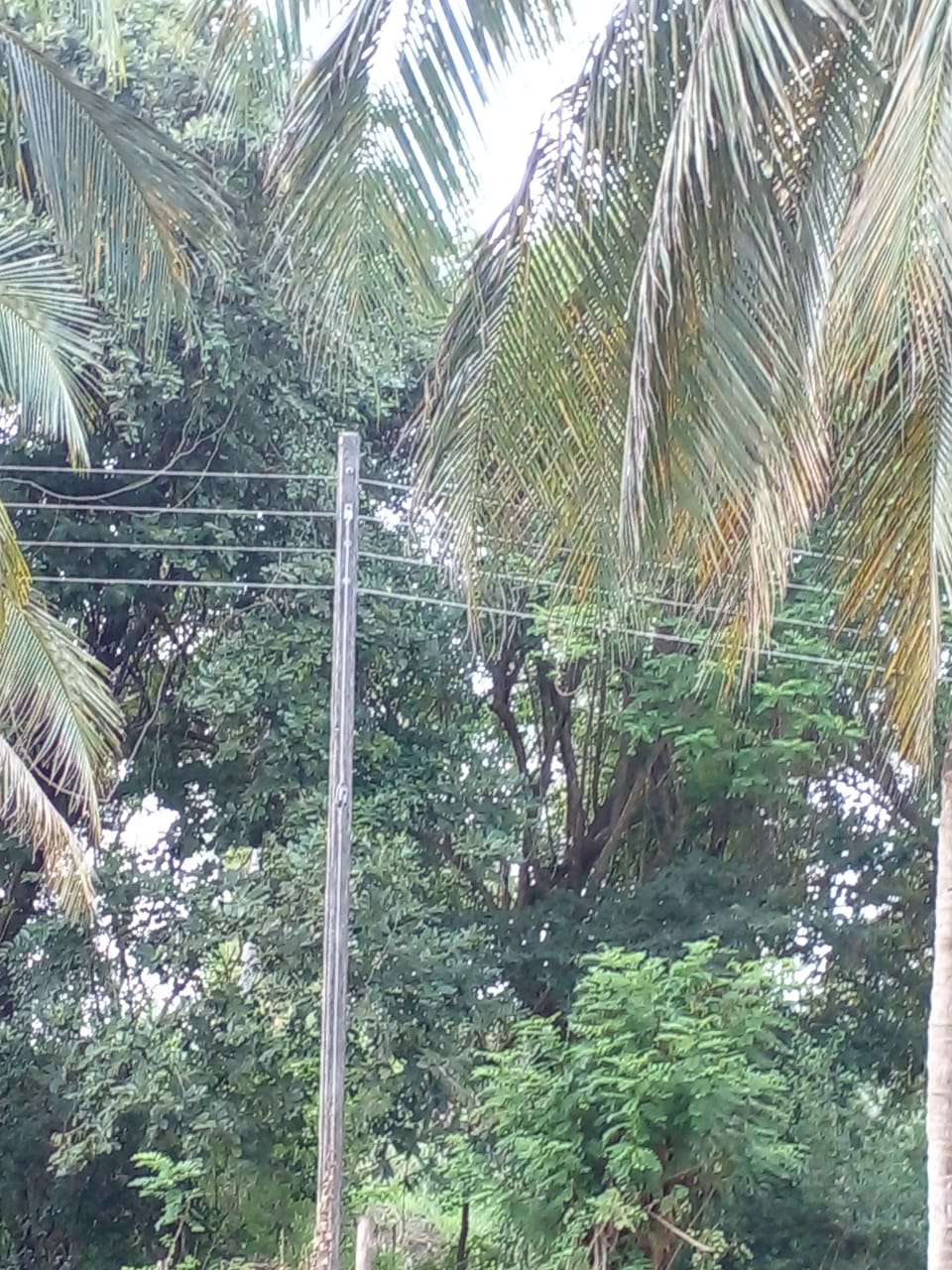  Land for Sale in Anuradhapura