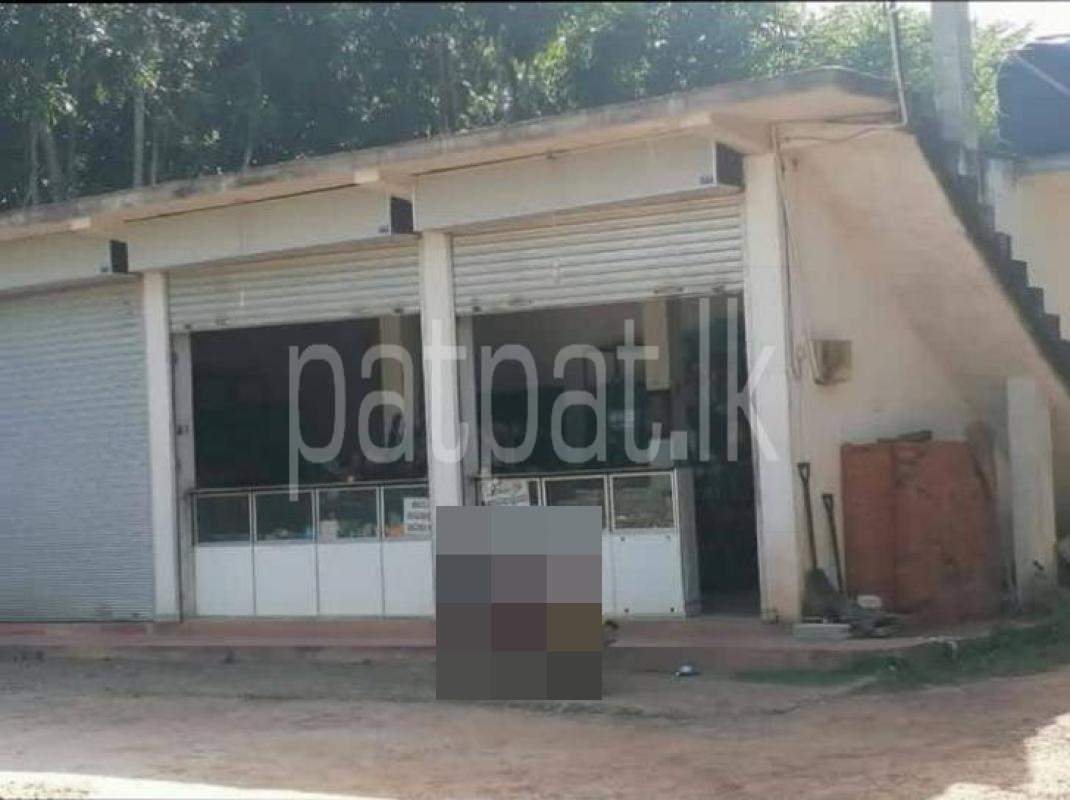 Advertisement image 6