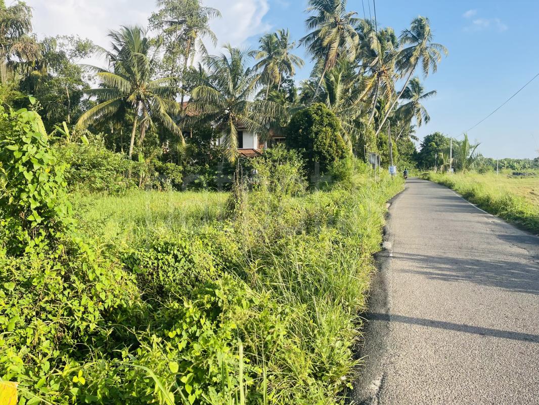 Commercial Land for Rent in Ja-Ela