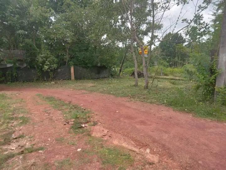 Commercial Land for Sale in Veyangoda