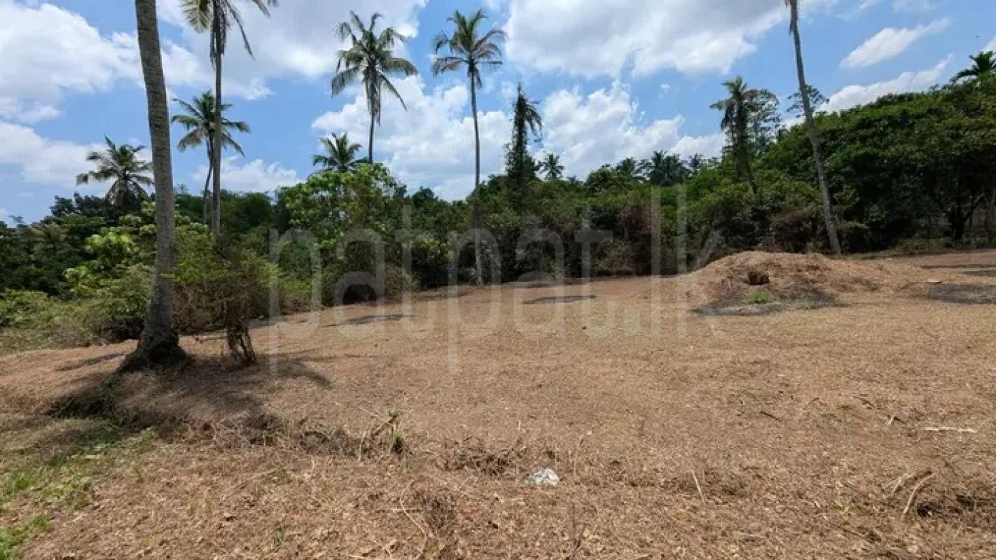 Commercial Land for Sale in Minuwangoda ads-image-1