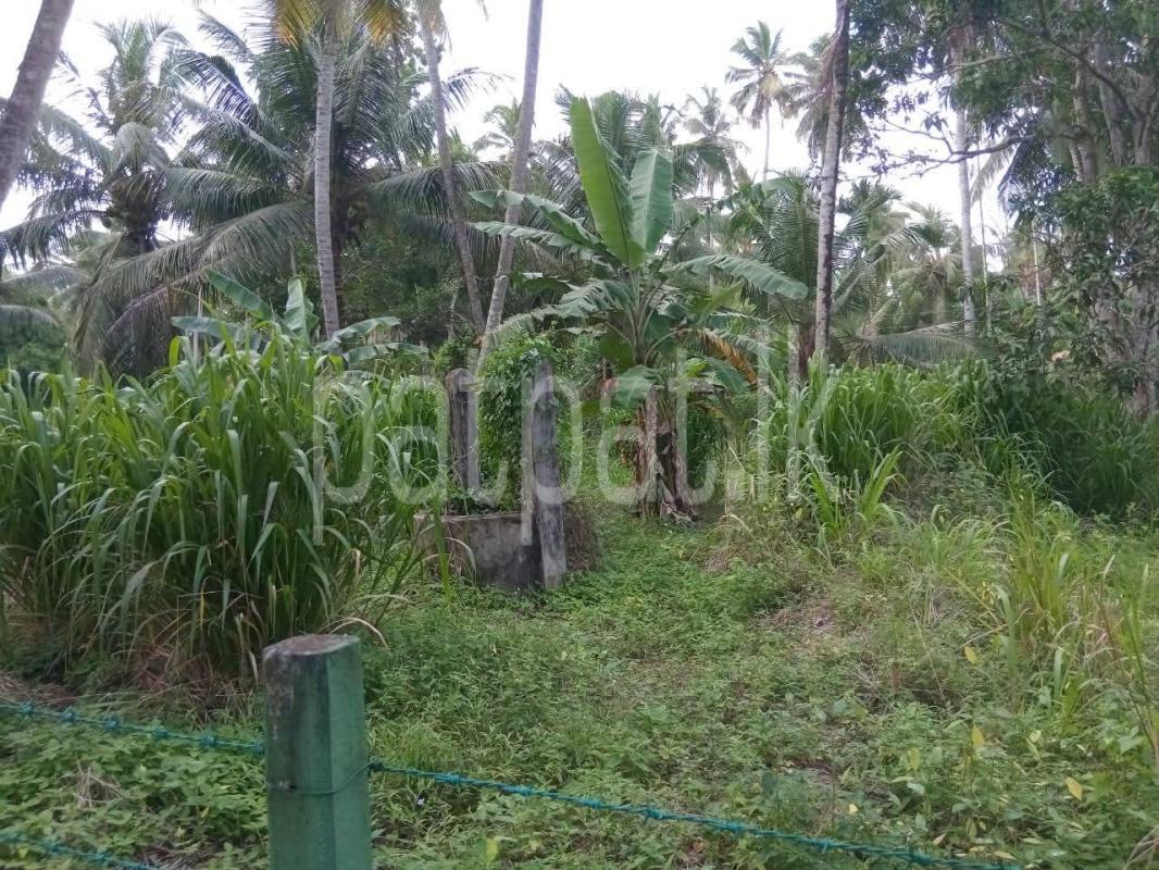 Residential Land for Sale in Badalgama ads-image-1