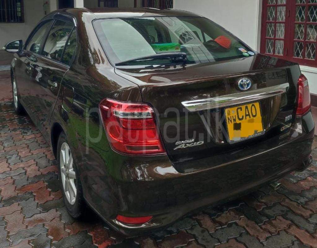 Advertisement image 1