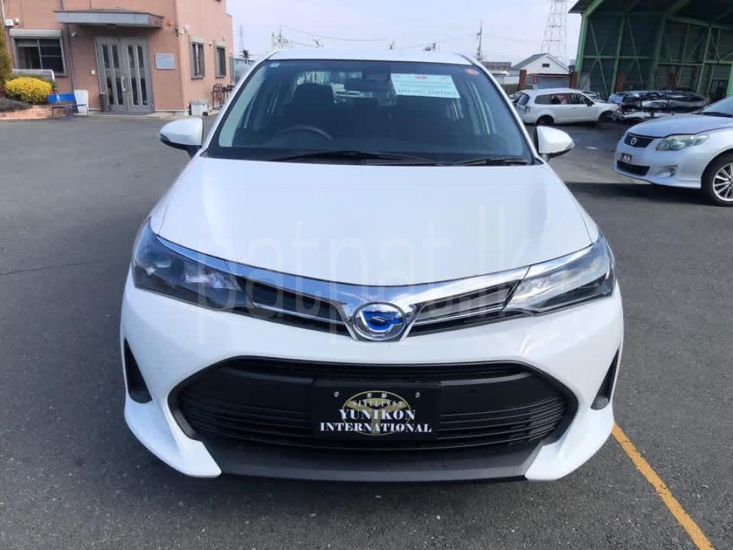 Advertisement image 1